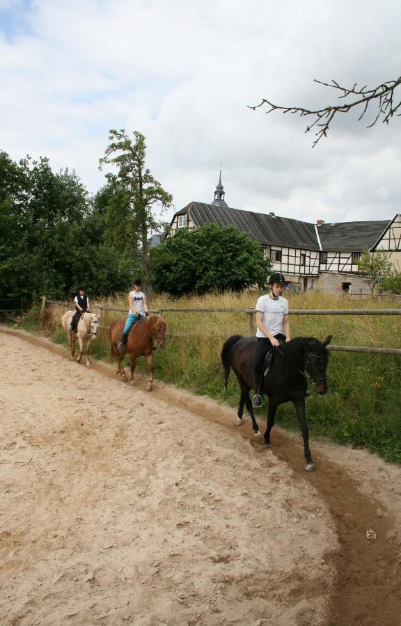 Pferd - Spass - Entspannung Staitz Exterior foto